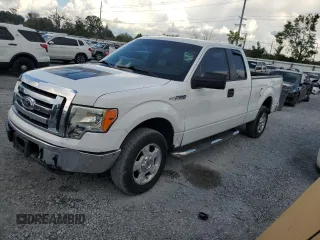 2010 Ford F-150 XL with VIN 1FTEX1C83AFB42561, listed as a Copart auction lot 62502315 with 68,156 mi miles and Clean title. Bid and sale history available at DreamBid. Image 1.