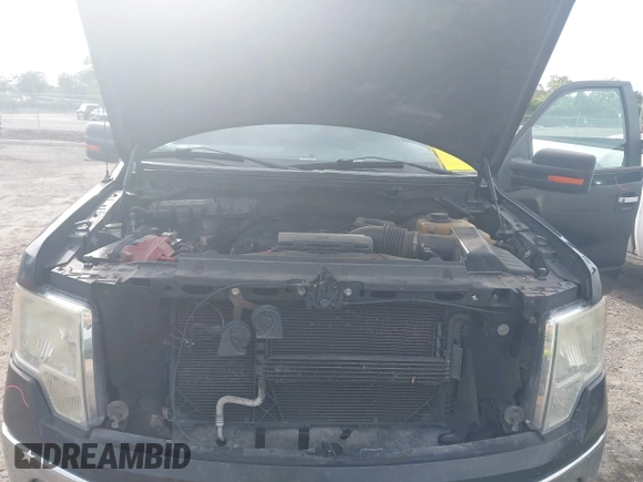 2013 Ford F-150 XL with VIN 1FTEX1CM1DFA35378, listed as a IAAI auction lot 42504522 with 204,858 mi miles and . Bid and sale history available at DreamBid. Image 10.