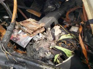 2004 Ford Expedition Eddie Bauer z VIN 1FMFU18L04LB47907, wystawiony jako Copart lot #53863365 z przebiegiem Nie podano mil oraz Nie do naprawy • Non repairable. Historia ofert i sprzedaży dostępna na DreamBid. Obrazek 11.