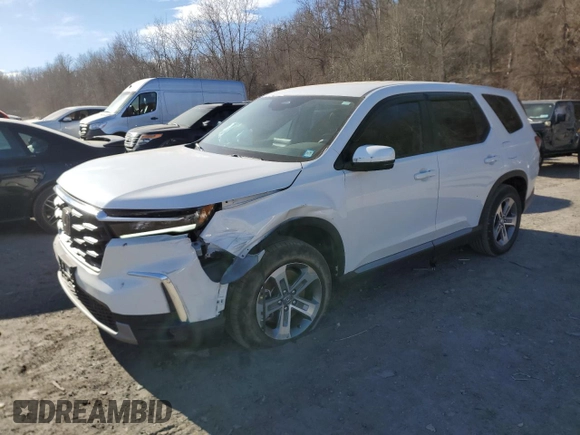 2024 Honda Pilot EX-L 7 Passenger with VIN 5FNYG1H52RB049090, listed as a Copart auction lot 41562695 with 9,939 mi miles and Salvage Title. Bid and sale history available at carsss.com. Image 1.