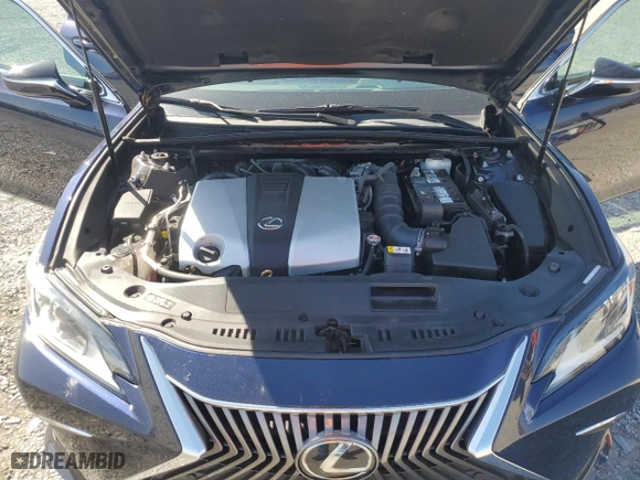 2019 Lexus ES with VIN 58ABZ1B14KU006555, listed as a Copart auction lot 48803865 with 81,739 mi miles and Salvage Title. Bid and sale history available at carsss.com. Image 13.