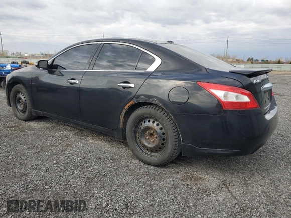 2011 Nissan Maxima SV with VIN 1N4AA5AP6BC832413, listed as a Copart auction lot 54186695 with 171,133 mi miles and Clean Title. Bid and sale history available at DreamBid. Image 2.