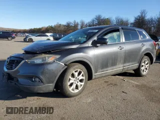 2014 Mazda CX-9 Touring with VIN JM3TB2CV0E0436923, listed as a Copart auction lot 45360515 with 116,801 mi miles and Clean Title. Bid and sale history available at carsss.com. Image 1.