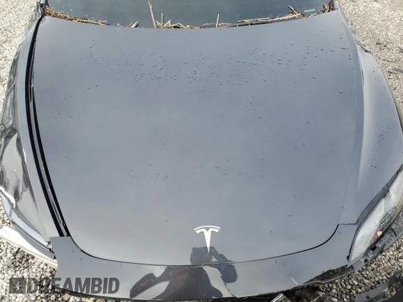 2025 Tesla Model 3 Long Range with VIN 5YJ3E1EA0SF902075, listed as a Copart auction lot 85525094 with Not Provided miles and Salvage Title. Bid and sale history available at DreamBid. Image 12.