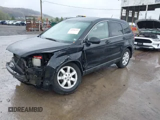 2009 Honda CR-V EX with VIN 5J6RE48509L045901, listed as a IAAI auction lot 41990313 with 223,305 mi miles and . Bid and sale history available at DreamBid. Image 2.