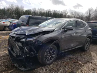 2023 Lexus NX with VIN JTJAKCEZ8P2010939, listed as a Copart auction lot 41824623 with 9,679 mi miles. Bid and sale history available at carsss.com. Image 1.