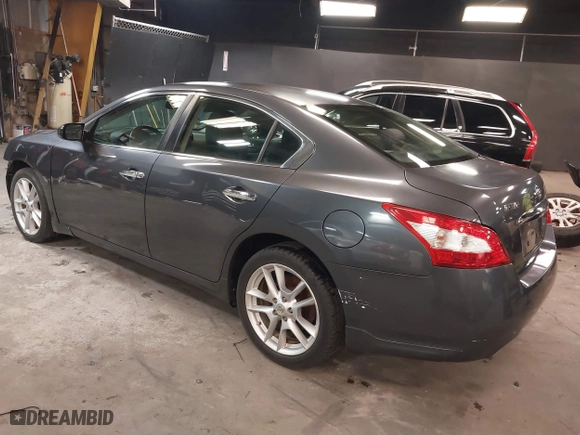 2009 Nissan Maxima 3.5 SV with VIN 1N4AA51E09C821755, listed as a IAAI auction lot 42016487 with 118,459 mi miles. Bid and sale history available at carsss.com. Image 3.