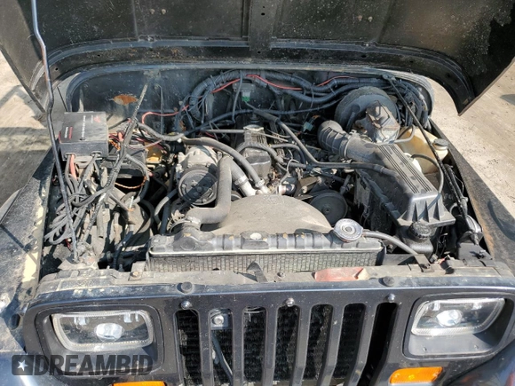 1994 Jeep Wrangler S with VIN 1J4FY19PXRP438743, listed as a Copart auction lot 70693064 with 94,401 mi miles and Salvage Title. Bid and sale history available at carsss.com. Image 11.
