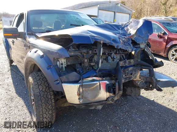 2010 Ford F-150 XL with VIN 1FTEX1E80AFA90416, listed as a IAAI auction lot 41446367 with Not provided miles and . Bid and sale history available at DreamBid. Image 14.