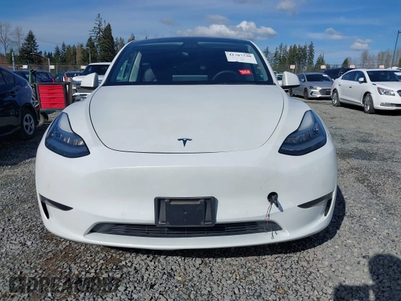 2021 Tesla Model Y Standard Range with VIN 5YJYGDED9MF110697, listed as a IAAI auction lot 41707730 with Not Provided miles and . Bid and sale history available at carsss.com. Image 12.