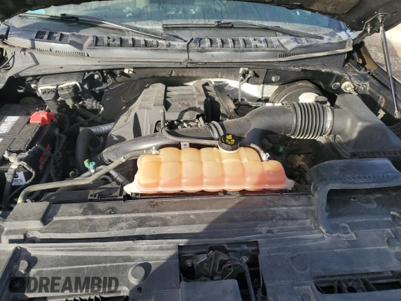 2017 Ford F-150 XL with VIN 1FTEX1CP3HFA43031, listed as a Copart auction lot 89388605 with 176,948 mi miles and Salvage Title. Bid and sale history available at carsss.com. Image 11.