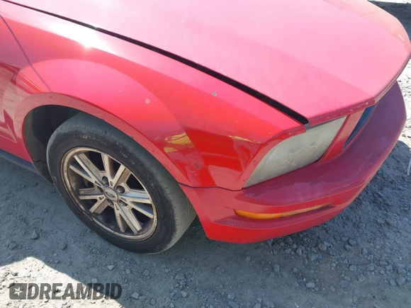 2008 Ford Mustang Deluxe with VIN 1ZVHT84N685189280, listed as a IAAI auction lot 42054118 with Not provided miles and . Bid and sale history available at DreamBid. Image 6.