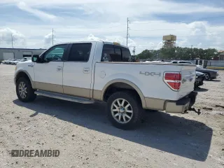2010 Ford F-150 XL with VIN 1FTFW1EV5AKB58746, listed as a Copart auction lot 60144085 with Not provided miles and Salvage title. Bid and sale history available at DreamBid. Image 2.
