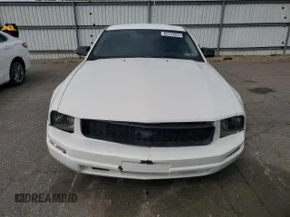 2006 Ford Mustang Standard with VIN 1ZVHT80N965264587, listed as a Copart auction lot 55333555 with 240,343 mi miles and Clean Title. Bid and sale history available at carsss.com. Image 5.