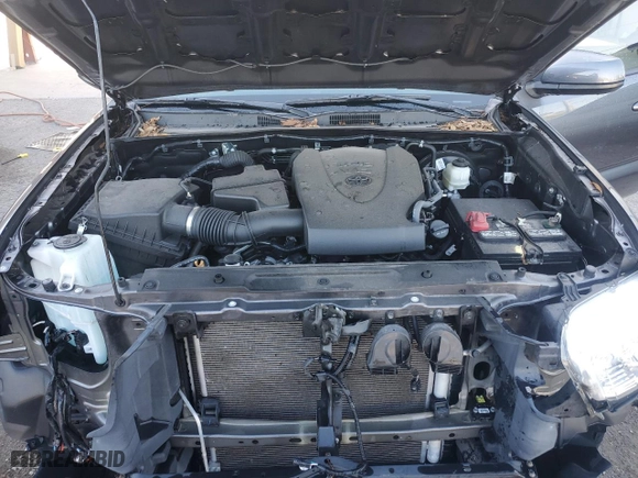 2021 Toyota Tacoma 2WD SR5 with VIN 5TFAZ5CN4MX105040, listed as a Copart auction lot 52088885 with 38,942 mi miles and Salvage Title. Bid and sale history available at carsss.com. Image 11.
