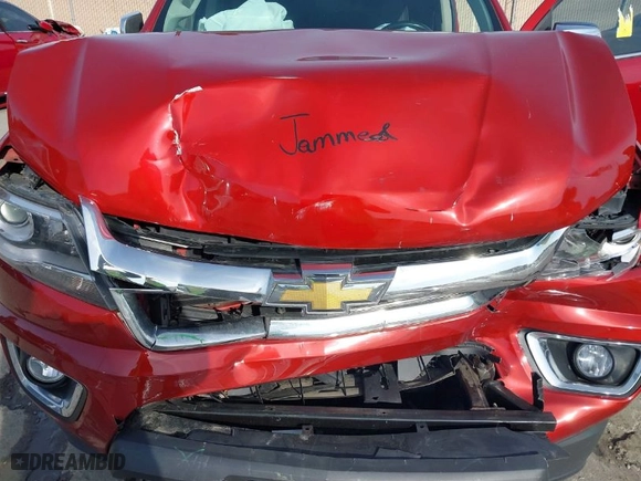 2016 Chevrolet Colorado 4WD LT with VIN 1GCGTCE35G1394786, listed as a IAAI auction lot 41831299 with 87,576 mi miles. Bid and sale history available at carsss.com. Image 10.