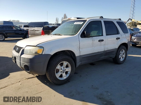 2006 Ford Escape XLT with VIN 1FMYU93Z96KC27346, listed as a Copart auction lot 88162585 with 0 mi miles and Clean Title. Bid and sale history available at carsss.com. Image 1.