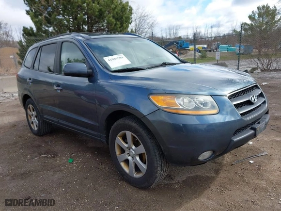 2009 Hyundai Santa Fe SE with VIN 5NMSH13E89H322655, listed as a IAAI auction lot 42029588 with 160,189 mi miles. Bid and sale history available at carsss.com. Image 1.