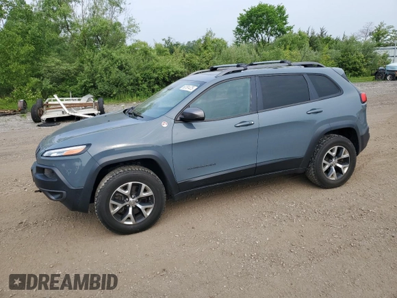 2014 Jeep Cherokee Trailhawk with VIN 1C4PJMBS4EW160341, listed as a Copart auction lot 60761475 with 135,087 mi miles and Salvage title. Bid and sale history available at DreamBid. Image 1.