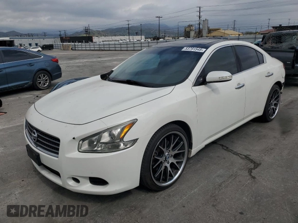2009 Nissan Maxima SV with VIN 1N4AA51E69C809139, listed as a Copart auction lot 53791545 with 141,482 mi miles and Salvage Title. Bid and sale history available at DreamBid. Image 1.