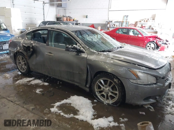 2009 Nissan Maxima SV with VIN 1N4AA51EX9C822461, listed as a IAAI auction lot 41597127 with 106,285 mi miles and . Bid and sale history available at DreamBid. Image 1.