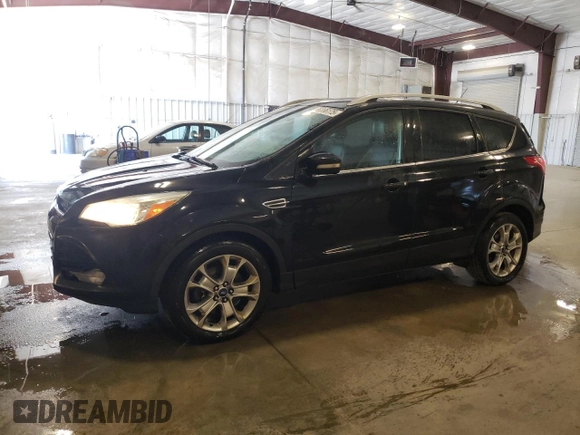 2014 Ford Escape Titanium with VIN 1FMCU9J9XEUE45988, listed as a Copart auction lot 56066175 with 228,872 mi miles and Clean Title. Bid and sale history available at DreamBid. Image 1.