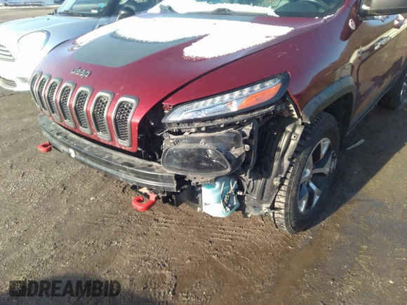 2014 Jeep Cherokee Trailhawk with VIN 1C4PJMBS9EW161047, listed as a IAAI auction lot 41841038 with Not Provided miles. Bid and sale history available at carsss.com. Image 6.
