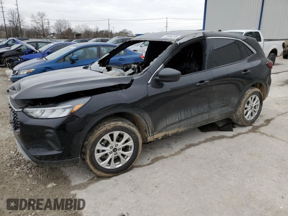 2024 Ford Escape Active with VIN 1FMCU9GN8RUB32870, listed as a Copart auction lot 42954235 with 0 mi miles and Non Repairable. Bid and sale history available at carsss.com. Image 1.