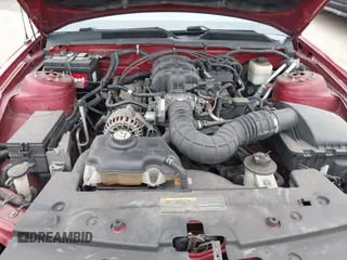 2008 Ford Mustang Deluxe with VIN 1ZVHT80N485107892, listed as a IAAI auction lot 42410036 with 117,977 mi miles and . Bid and sale history available at DreamBid. Image 10.