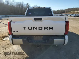 2022 Toyota Tundra 4WD SR5 with VIN 5TFLA5DB3NX048335, listed as a Copart auction lot 41759795 with 74,517 mi miles and Salvage Title. Bid and sale history available at carsss.com. Image 6.