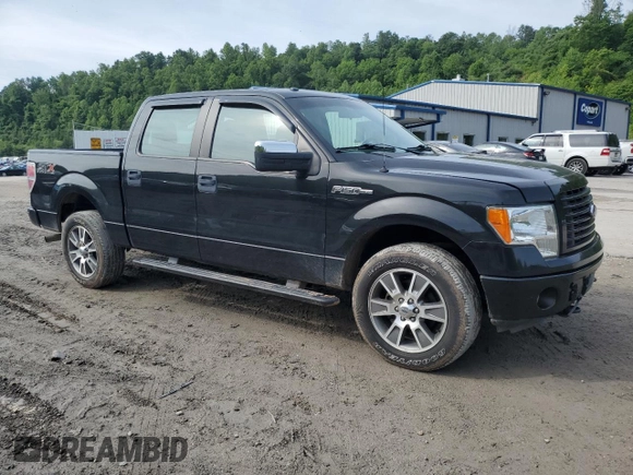 2014 Ford F-150 XL with VIN 1FTFW1EF4EFB23865, listed as a Copart auction lot 58557635 with 178,037 mi miles and Salvage title. Bid and sale history available at DreamBid. Image 4.