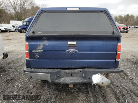 2010 Ford F-150 XL with VIN 1FTEX1E81AFB18871, listed as a Copart auction lot 51140165 with 163,462 mi miles and Clean Title. Bid and sale history available at carsss.com. Image 6.