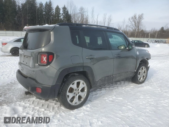 2020 Jeep Renegade Limited with VIN ZACNJBD16LPL76313, listed as a Copart auction lot 43918385 with 69,134 mi miles and Salvage title. Bid and sale history available at DreamBid. Image 3.