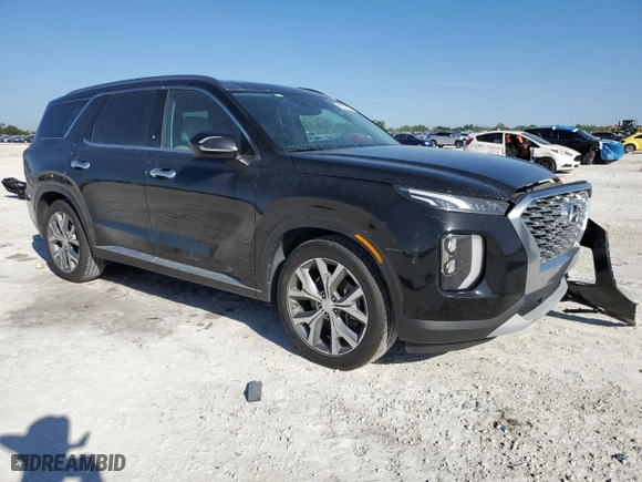 2020 Hyundai Palisade SEL with VIN KM8R4DHE3LU041072, listed as a Copart auction lot 48516065 with NaN miles and Salvage Title. Bid and sale history available at carsss.com. Image 4.