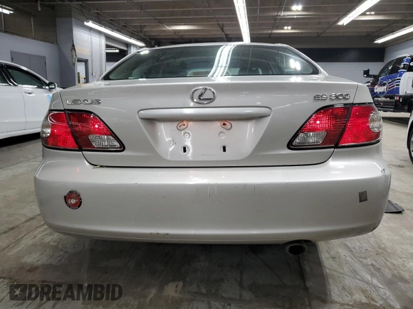 2002 Lexus ES 300 with VIN JTHBF30G925010715, listed as a Copart auction lot 55691895 with 202,913 mi miles and Salvage title. Bid and sale history available at DreamBid. Image 6.