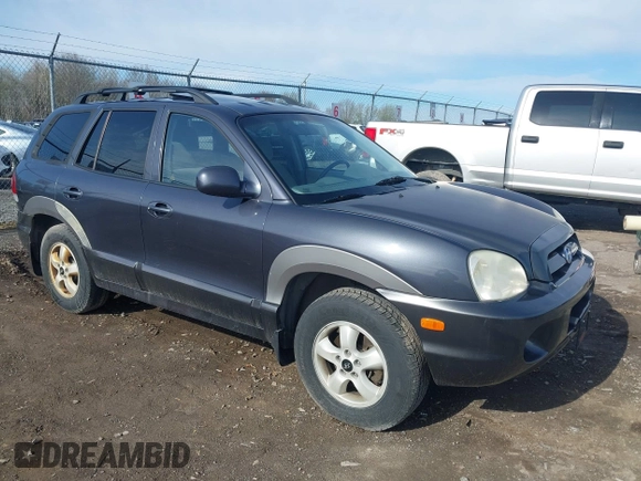 2005 Hyundai Santa Fe GLS with VIN KM8SC73D55U965052, listed as a IAAI auction lot 42124944 with 117,178 mi miles. Bid and sale history available at carsss.com. Image 1.