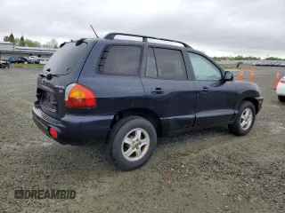 2004 Hyundai Santa Fe GLS with VIN KM8SC13E94U767790, listed as a Copart auction lot 51494985 with 107,480 mi miles and Clean Title. Bid and sale history available at carsss.com. Image 3.