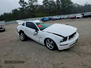2006 Ford Mustang GT Deluxe with VIN 1ZVHT82H665248483, listed as a Copart auction lot 43163155 with 0 mi miles and Salvage Title. Bid and sale history available at carsss.com. Image 11.