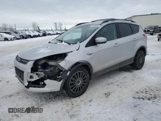 2014 Ford Escape SE with VIN 1FMCU9G99EUA95244, listed as a Copart auction lot 41654625 with 258,768 mi miles and Salvage Title. Bid and sale history available at DreamBid. Image 1.