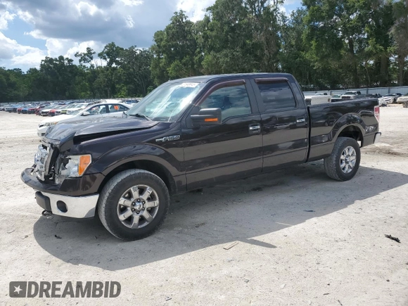 2013 Ford F-150 XL with VIN 1FTFW1EF1DFB70494, listed as a Copart auction lot 61549945 with 124,216 mi miles and Salvage title. Bid and sale history available at DreamBid. Image 1.