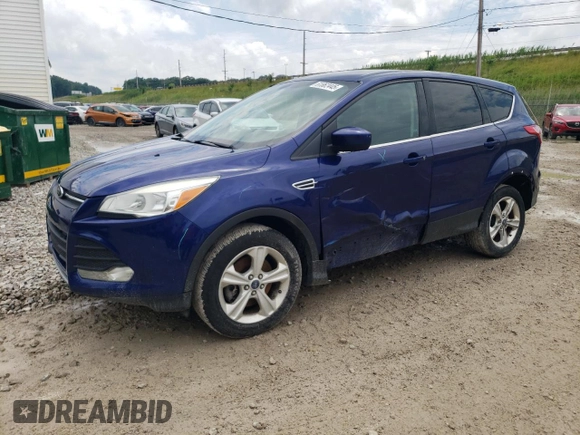 2013 Ford Escape SE with VIN 1FMCU0G97DUA95186, listed as a Copart auction lot 61862445 with 166,017 mi miles and Salvage title. Bid and sale history available at DreamBid. Image 1.