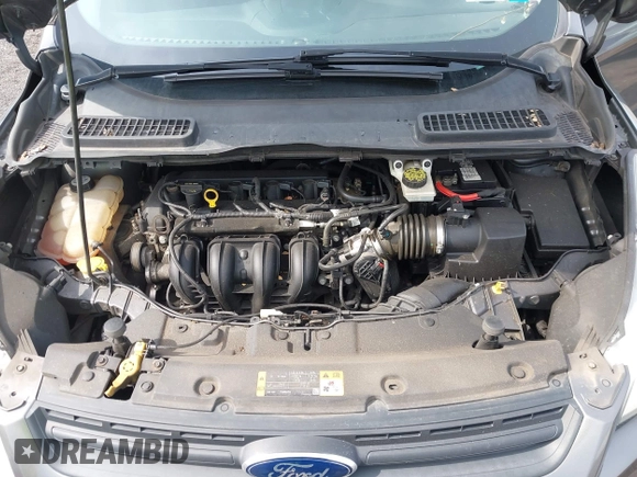 2013 Ford Escape S with VIN 1FMCU0F72DUB93249, listed as a IAAI auction lot 42009262 with 183,573 mi miles. Bid and sale history available at carsss.com. Image 10.