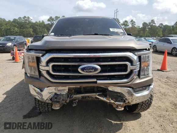 2021 Ford F-150 XL with VIN 1FTFW1E81MFC40903, listed as a Copart auction lot 59618935 with 97,419 mi miles and Salvage title. Bid and sale history available at DreamBid. Image 5.