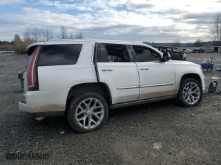 2018 Cadillac Escalade Platinum with VIN 1GYS4DKJ7JR229485, listed as a Copart auction lot 81233874 with 0 mi miles and Salvage Title. Bid and sale history available at carsss.com. Image 3.