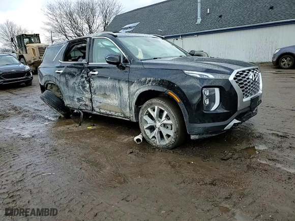 2020 Hyundai Palisade SEL with VIN KM8R4DHE5LU064790, listed as a Copart auction lot 47768645 with 41,634 mi miles and Non Repairable. Bid and sale history available at carsss.com. Image 11.