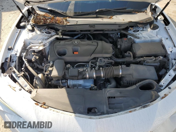 2021 Acura TLX w/Advance Package with VIN 19UUB5F61MA000935, listed as a Copart auction lot 44229255 with 62,922 mi miles and Salvage Title. Bid and sale history available at carsss.com. Image 11.
