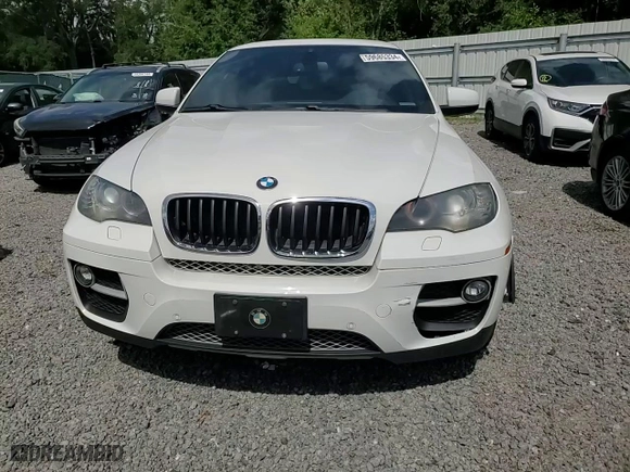 2013 BMW X6 xDrive35i with VIN 5UXFG2C59DL783279, listed as a Copart auction lot 59685334 with 134,324 mi miles and Salvage Title. Bid and sale history available at carsss.com. Image 12.