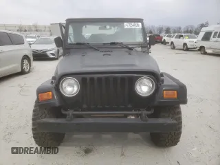2002 Jeep Wrangler Sahara with VIN 1J4FA59S42P720513, listed as a Copart auction lot 47054805 with 190,922 mi miles and Salvage title. Bid and sale history available at DreamBid. Image 5.