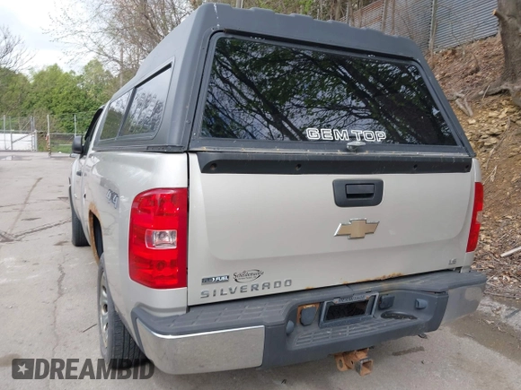 2008 Chevrolet Silverado 1500 1LT with VIN 1GCEK14078E156874, listed as a IAAI auction lot 42176346 with 194,733 mi miles and . Bid and sale history available at DreamBid. Image 12.