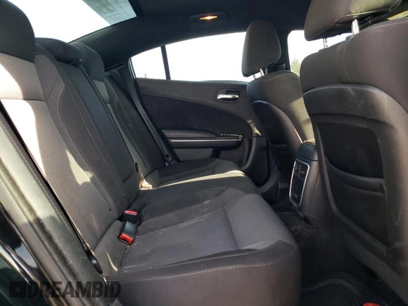 2018 Dodge Charger SXT Plus with VIN 2C3CDXHG4JH125077, listed as a Copart auction lot 46677265 with 114,673 mi miles and Salvage Title. Bid and sale history available at carsss.com. Image 10.